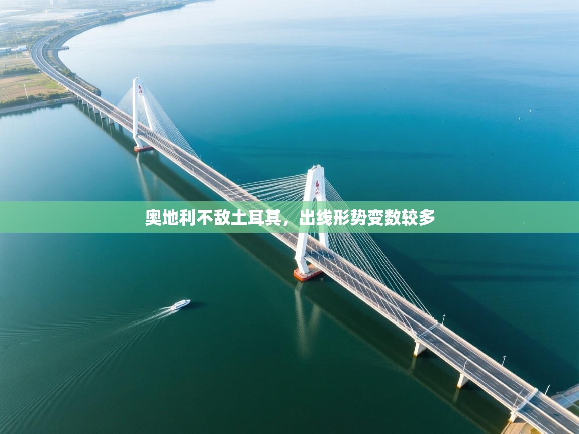 云开体育官方网站登录-奥地利不敌土耳其,出线形势变数较多 第3张